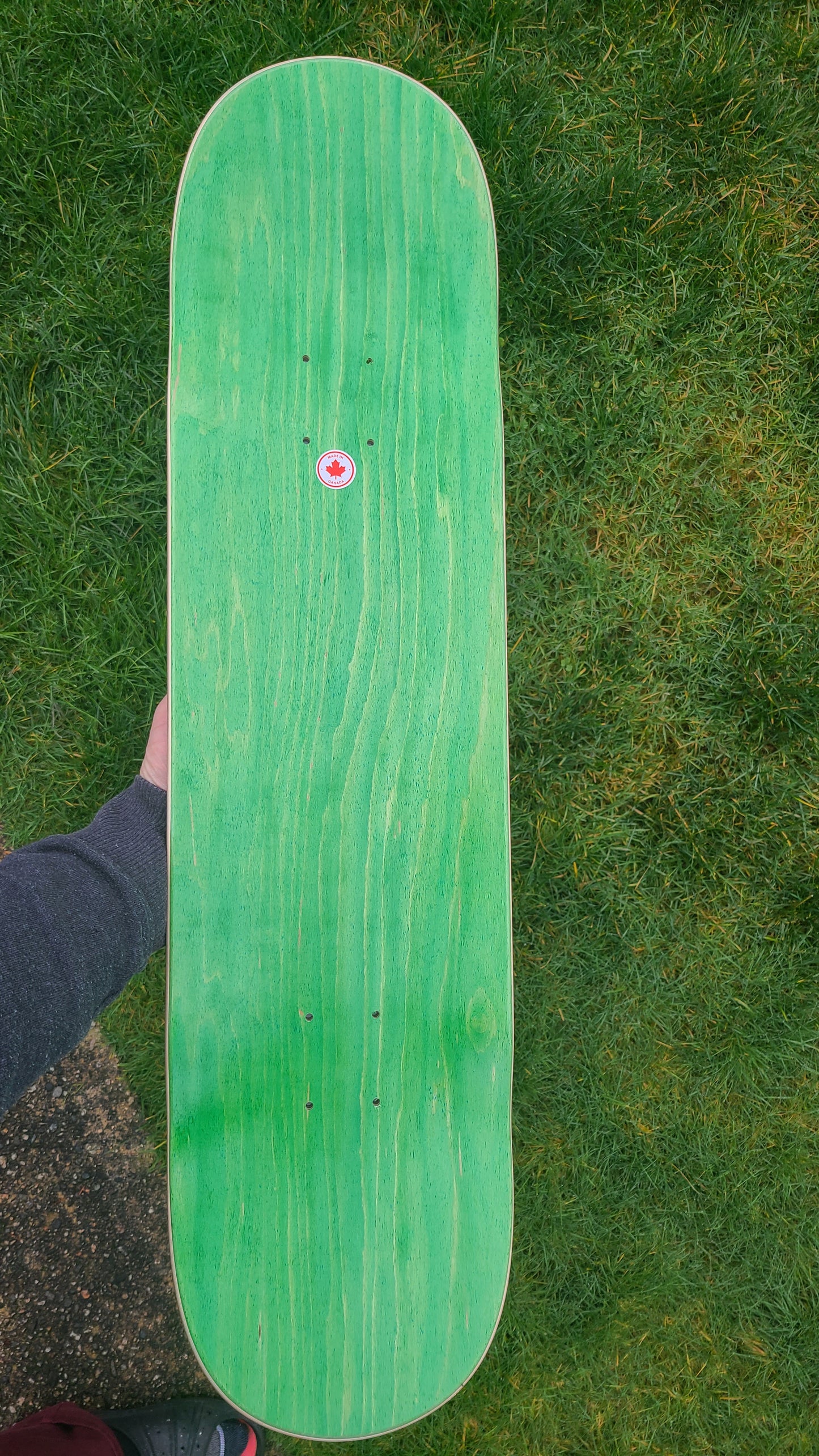 Mean Bikini - Orka Skateboard deck